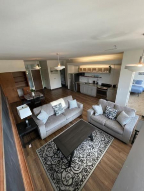 Cute Modern Luxury Loft in the Heart of KC